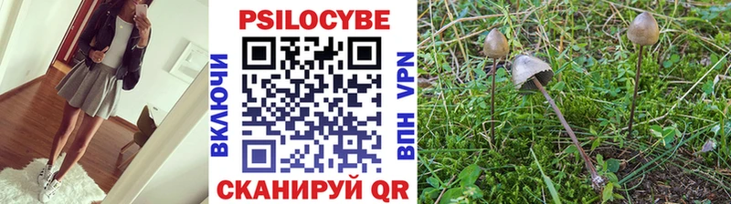 даркнет сайт  Кола  Галлюциногенные грибы MAGIC MUSHROOMS 